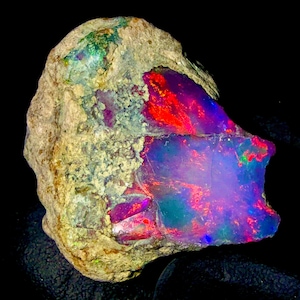 May include: A raw, unpolished opal gemstone featuring a rough, beige, textured exterior matrix. The exposed face of the stone displays vibrant, iridescent flashes of neon red, electric blue, and deep purple, creating a high-contrast play of color.