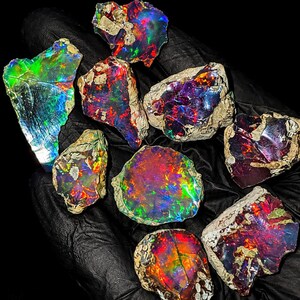 May include: A collection of eight raw opal gemstones displaying vibrant flashes of red, green, blue, and orange color play. Each stone features a rough, unpolished texture with natural matrix edges, showcasing intense iridescent light reflections.