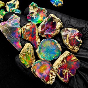 May include: A collection of raw, unpolished opal gemstones displaying vibrant flashes of red, green, blue, and yellow iridescence. Each stone features a rough, textured, sandy-colored matrix exterior contrasting with polished, colorful, and reflective surfaces.