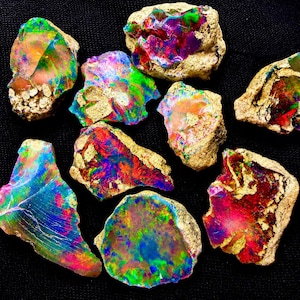 May include: A collection of nine raw opal specimens featuring vibrant flashes of red, green, blue, and purple color play. Each stone displays a rough, textured, tan-colored matrix surrounding the polished, iridescent, and multi-colored gemstone surface.