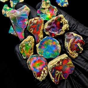 May include: A collection of raw, unpolished opal stones featuring vibrant flashes of iridescent color including red, green, blue, and yellow. Each stone displays a unique, irregular shape with rough, textured edges and a polished, reflective surface.