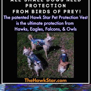 Gilet de protection pour animaux de compagnie Hawk Star image 4