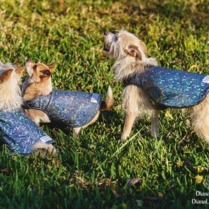 The Hawk Star Pet Protection Vest