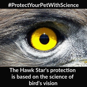 Gilet de protection pour animaux de compagnie Hawk Star image 5