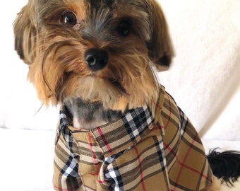 burberry coat dog