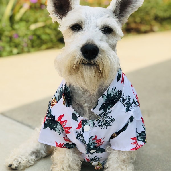 Boy Dog Clothes Etsy