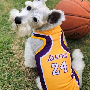 lakers jersey dog