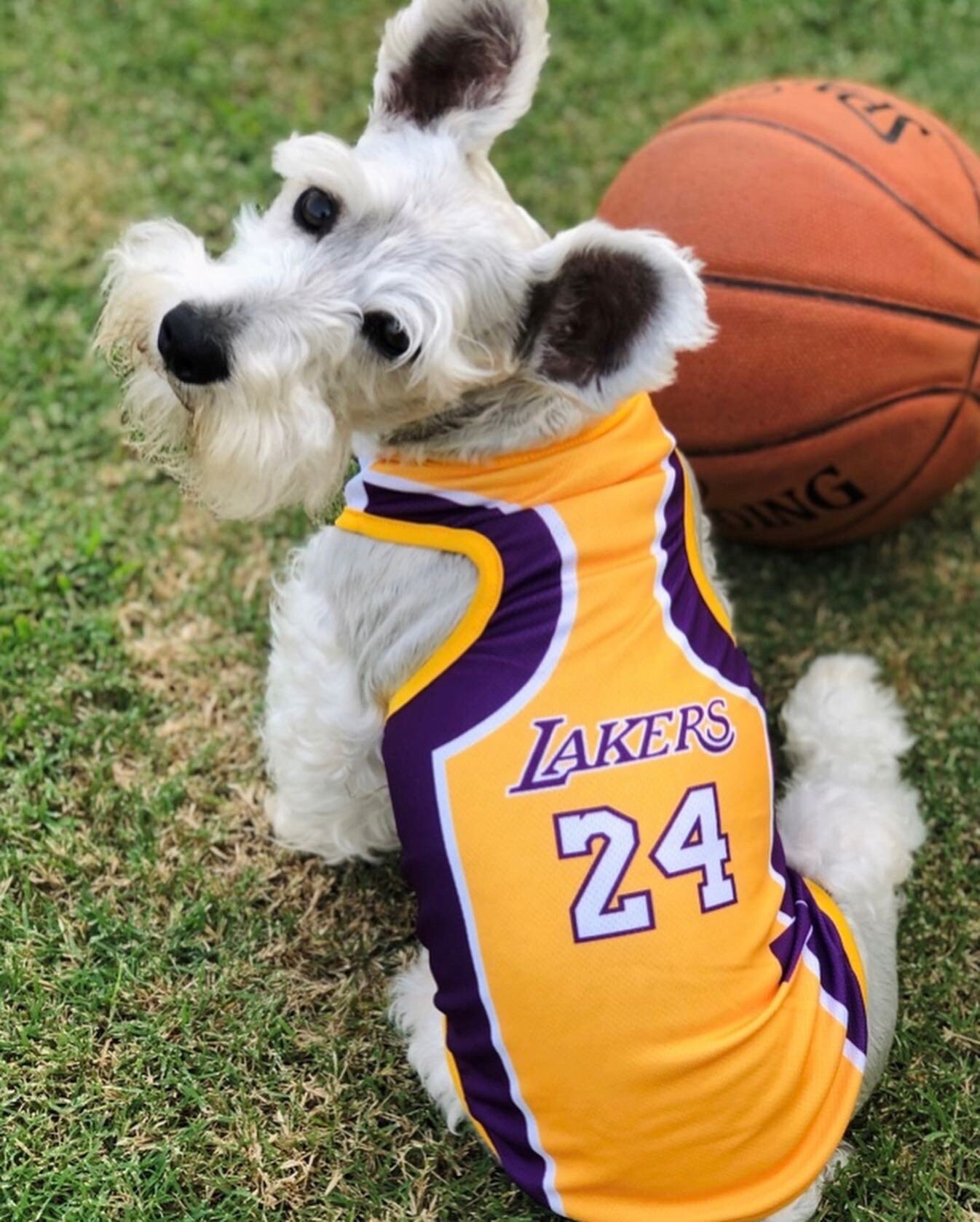 Clothes for Dogs Los Angeles Lakers Kobe Bryant #24 Pet Jersey Clothes for  Cats