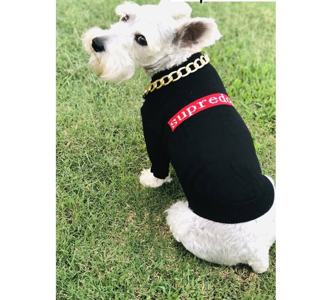 chanel dog sweatshirt