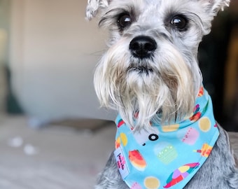 Mexican Aguas Frescas Dog Bandana | Cinco De Mayo Snap Bandana