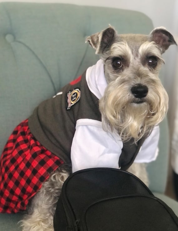 Schnauzer Pants - Black Schnauzer Pants - Black