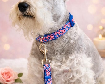 Dog Collar and Leash Set | Dog Collars | Dog Leash |