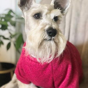 Dog Winter Clothes | Big dog clothes | sweaters for dogs | sweater for small dogs | Pet Sweaters | Dog Winter Clothes | Dog Sweater