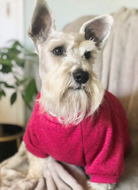 Dog winter sweaters top
