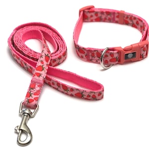 Dog Collar and Leash Set | Dog Collars | Dog Leash |
