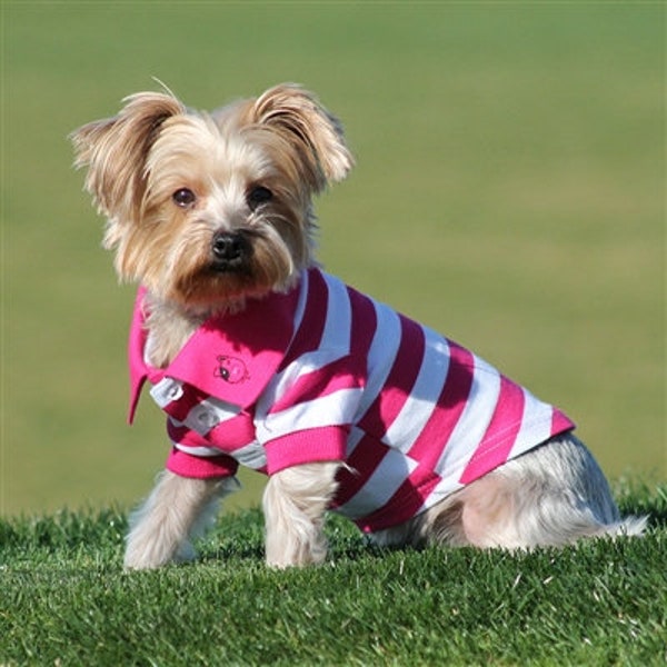Polo Dog Shirt, Striped Dog Shirt, luxury dog shirt, Dog Shirt, Dog Striped Shirt, designer dog clothes, Dog Clothes, large dog shirt
