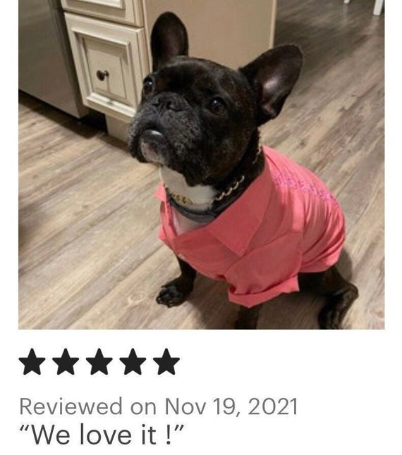 Guayabera Dog Shirt Mexican Dog Shirt 