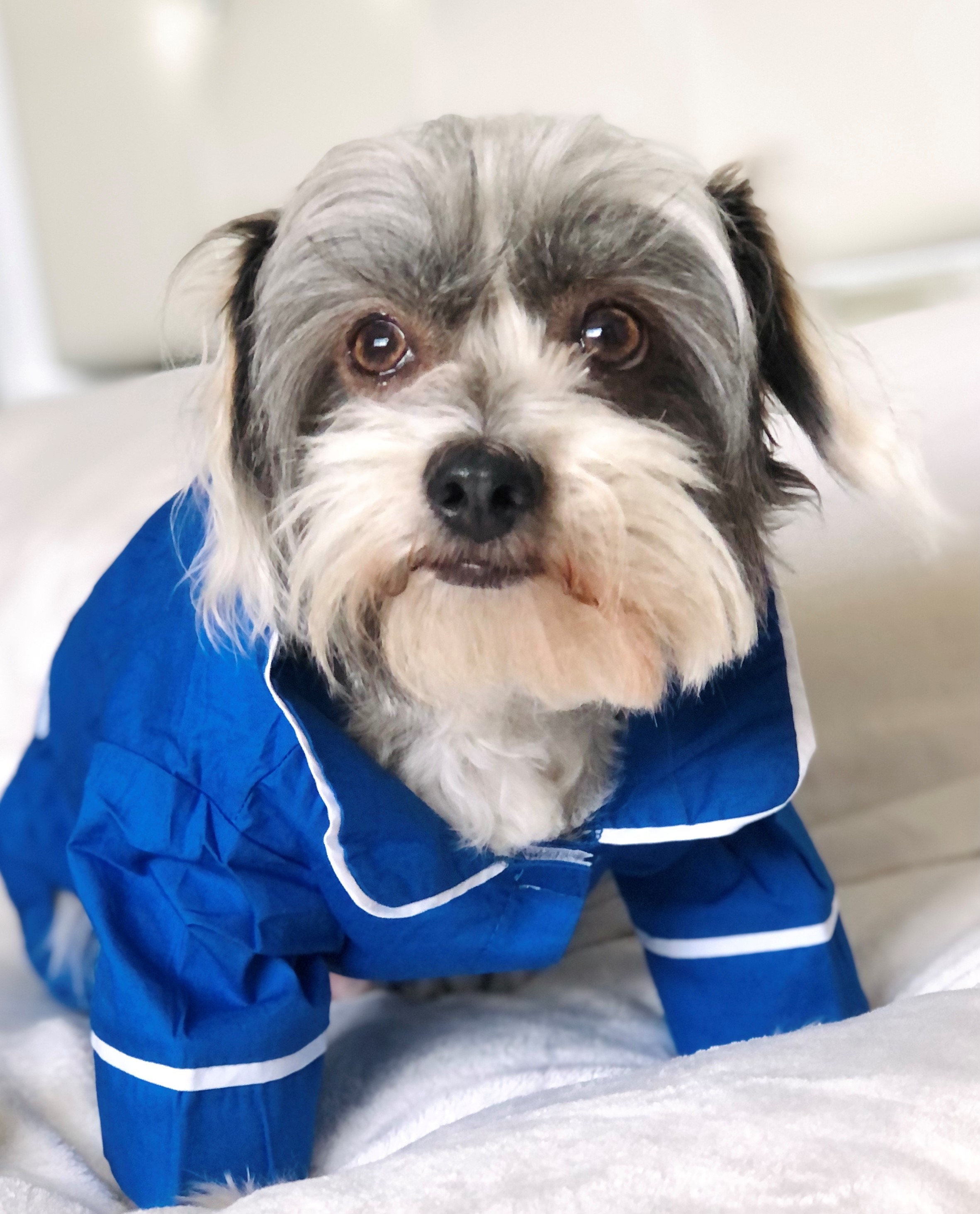 Luxury Dog Clothes for Small Medium Pets Designer Fashion Shirts