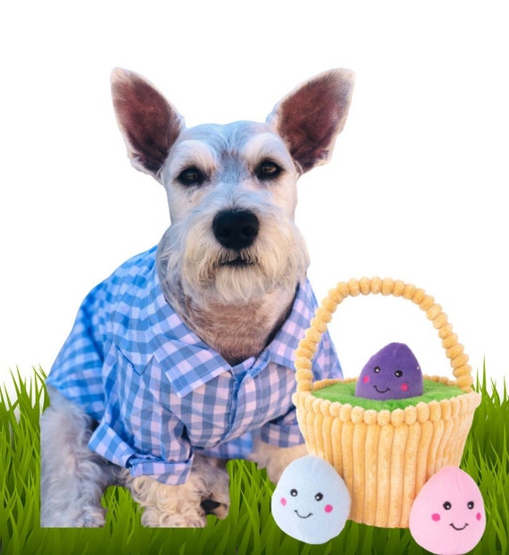 Plush Dog Toy Easter Dog Easter Basket Unique Dog Toys Easter Toys