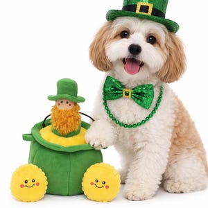 Dog Toys | St. Patrick's Dog interactive toy | St. Patty Dog Toys | St. Patrick's Plush Toy | Dog Chew Toys |