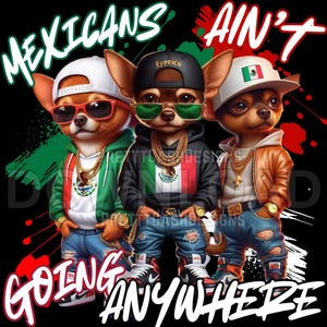 Chihuahuas png, Amigos Mexicans Aint Going Anywhere png, MAGA, chemise Maga, téléchargements png, immigrants, mexique, Maga mexicains, conception de tshirt