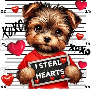 I Steal Hearts png Yorkie PNG, süßer Welpe png, Hund png, Lustiges Tier png, Valentinstag, Liebe, Jungenhemd, Sublimation, Hund, PNG, Geschenk für ihn