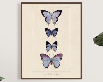Vintage Purple Butterfly Print, Butterfly Papillon Wall Art, Natural History Decor, Dorm Room, Nursery, Boho Art 8x10,