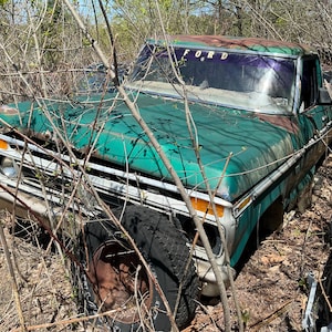 Ford Pickup Verde