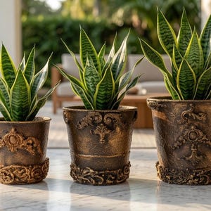 May include: Three snake plants with green and yellow variegated leaves are potted in matching dark bronze-colored planters. Each round container features ornate, raised relief detailing around the base and upper rim with a textured finish.