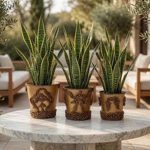 May include: Three snake plants with green and yellow variegated leaves potted in matching gold-toned containers. Each container features ornate, raised brown relief detailing around the base and sides, arranged on a round white marble table.