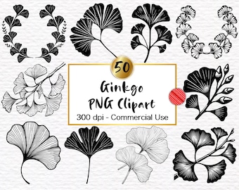 50 Ginkgo Leaf Clipart: Botanical Line Art, Frames (PNG Digital Download)