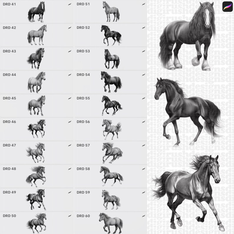 Procreate Horse Stamps, Horses Procreate Brushes, Equestrian Stamps