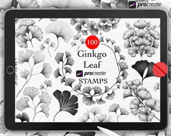 Ginkgo Leaf Procreate Stamps, Ginkgo Procreate Brushes, Ginkgo Biloba Frames, Chinese Plant, Realistic Ginkgo Illustration, Ginkgo Outline