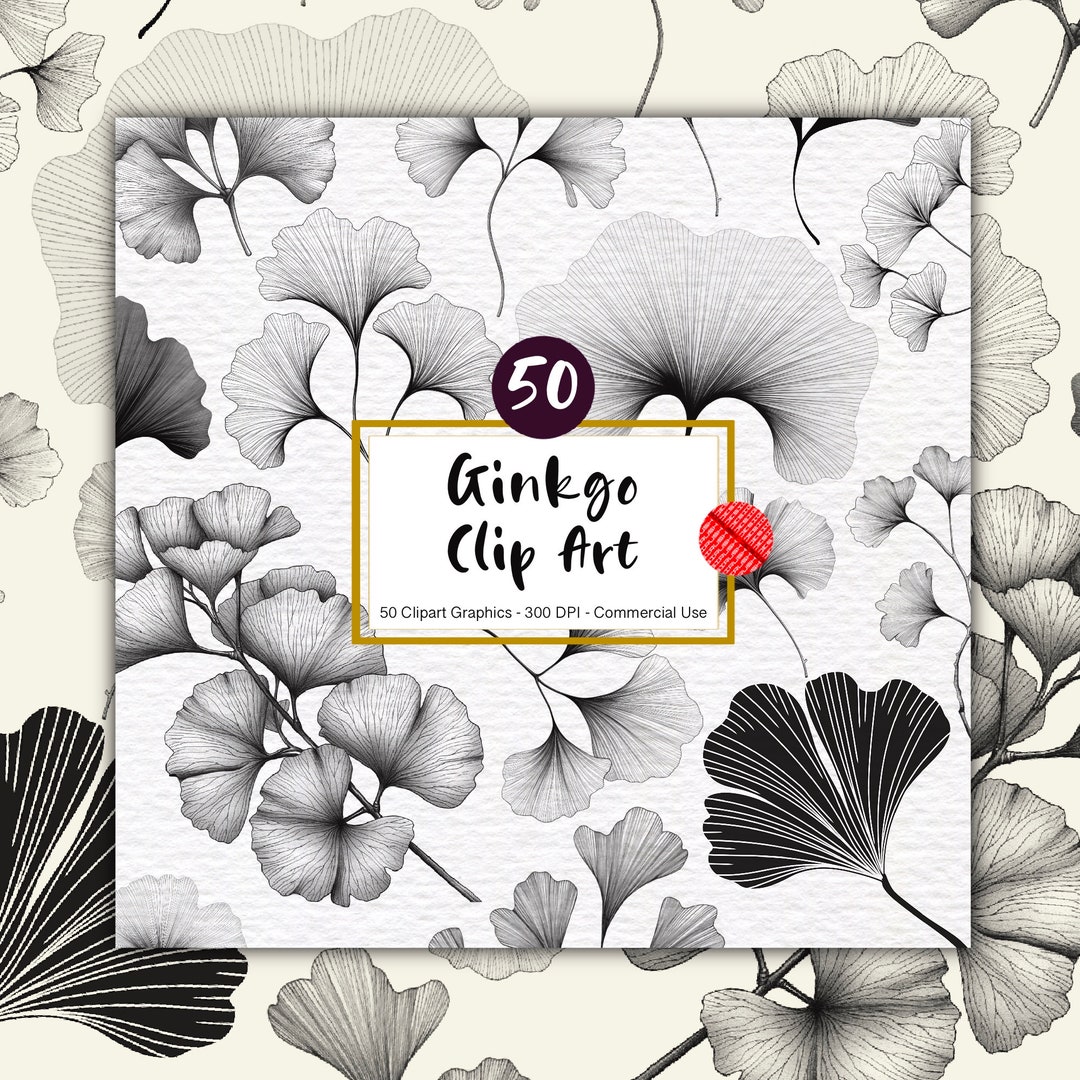 Ginkgo Leaf Clipart PNG Digital Download Ginkgo Line Art Printable ...