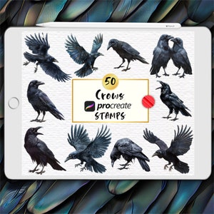 Tampons Corbeau Procreate, Pinceaux Procreate Corbeau, Tampons Oiseaux Corneille Réalistes, Oiseaux En Vol De Corbeau, Tampons Procréation Corbeau, Tampons Tatouage Corbeau