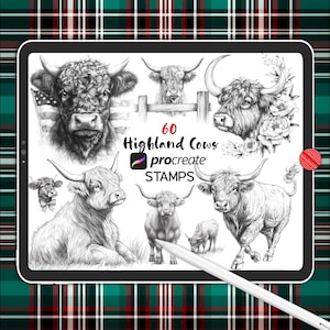 May include: A digital tablet screen displaying 60 black and white illustrations of Highland cows. The text "60 Highland Cows procreate STAMPS" is displayed on the screen.