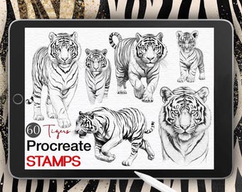 60 Tiger Procreate Stamps: Animal Line Art ( Digital Brush Set)