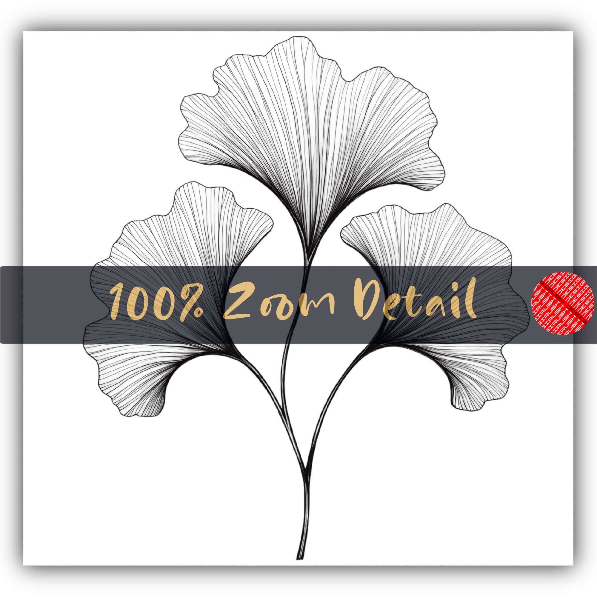 Ginkgo Leaf Clipart PNG Digital Download Ginkgo Line Art Printable ...