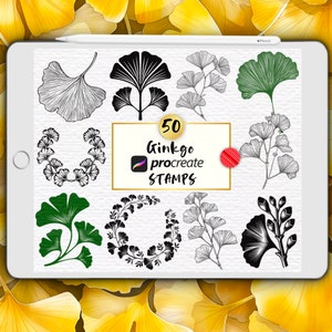 Tampons Feuilles De Ginkgo Pour Procréer, Pinceaux Pour Procréer De Ginkgo, Motif Ginkgo Biloba, Plante Chinoise, Illustration Réaliste De Ginkgo, Contour De Ginkgo