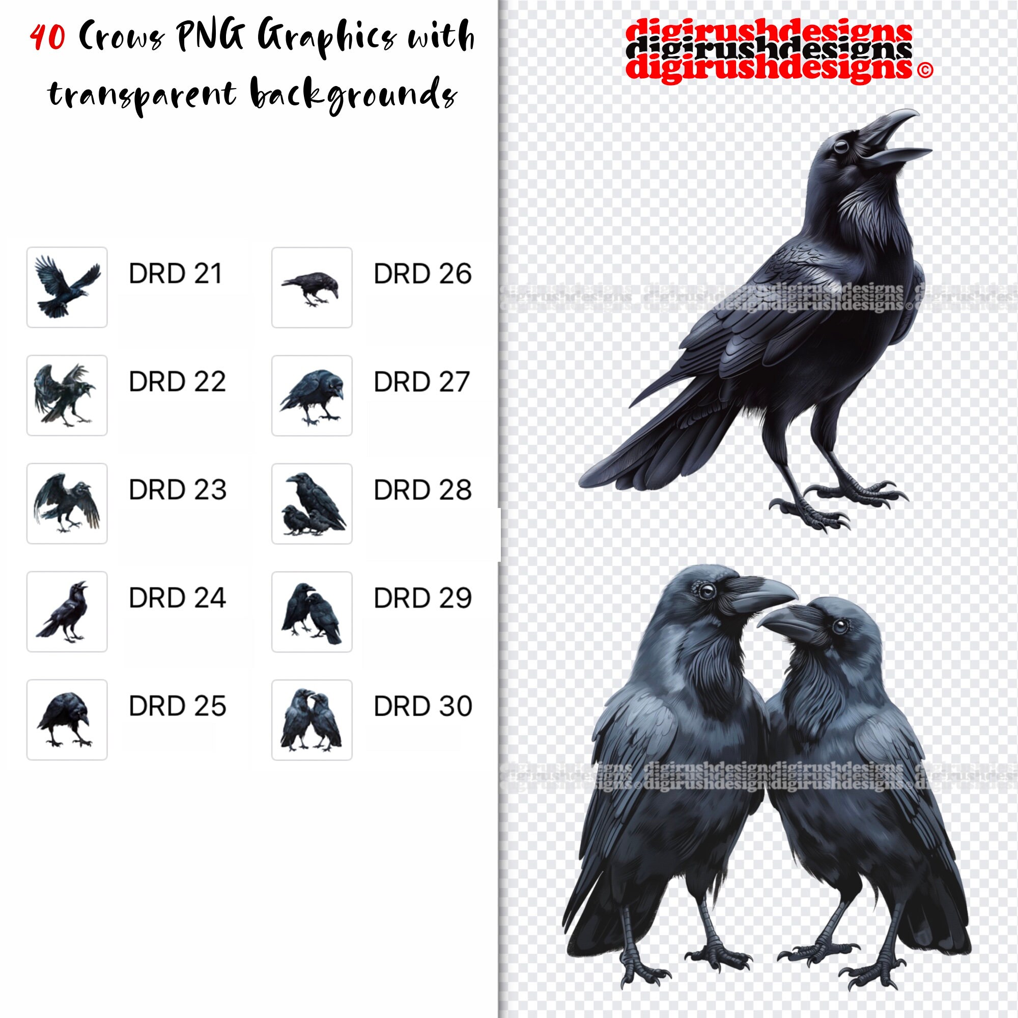 Crow Clipart PNG Digital Download Crow Clip Art Bundle Black Crow ...