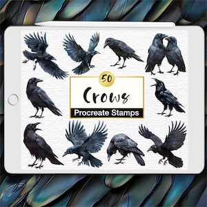 50 Carimbos Realistas de Corvos para Procreate: Pássaros Corvos Góticos (Conjunto de Pincéis Digitais)