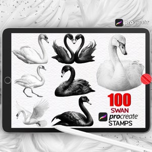 Procreate Swan Stamps Procreate Brushes Swan Tattoo Stamps Black Swan Digital Brush Set White Swans Procreate Bundle Bird Stamps Swan Lake