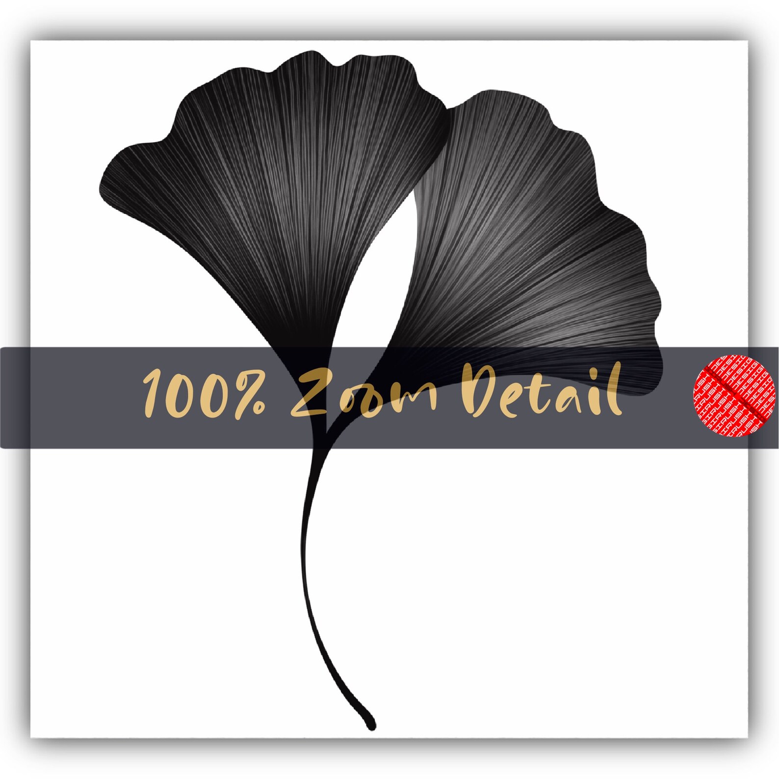 Ginkgo Leaf Clipart PNG Digital Download Ginkgo Line Art Printable ...