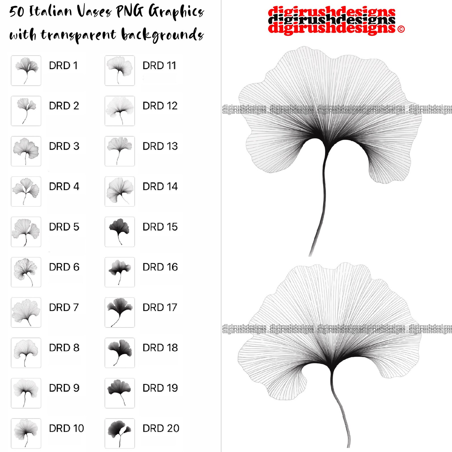 Ginkgo Leaf Clipart PNG Digital Download Ginkgo Line Art Printable ...