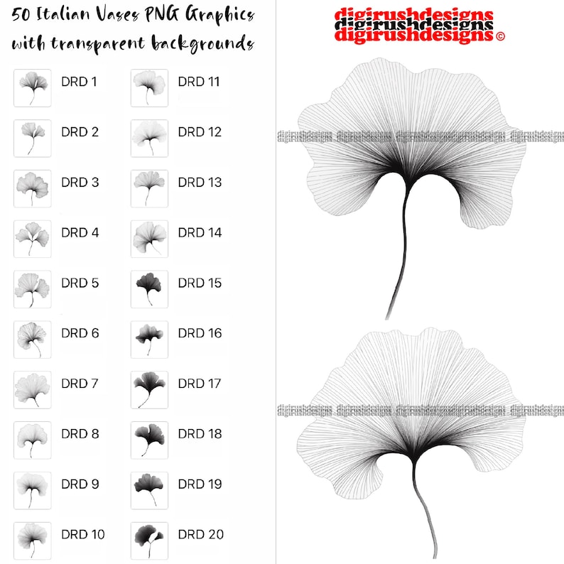 Ginkgo Leaf Clipart PNG Digital Download Ginkgo Line Art Printable ...
