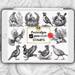 Partridges Procreate Stamps, Partridge Bird Procreate Brushes, Realistic Pheasant Flying Birds Procreate Stamps, Partridge Tattoo Stamps