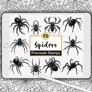 50 Spider Procreate Stamps, Realistic Black Widow (Digital Brush Set)