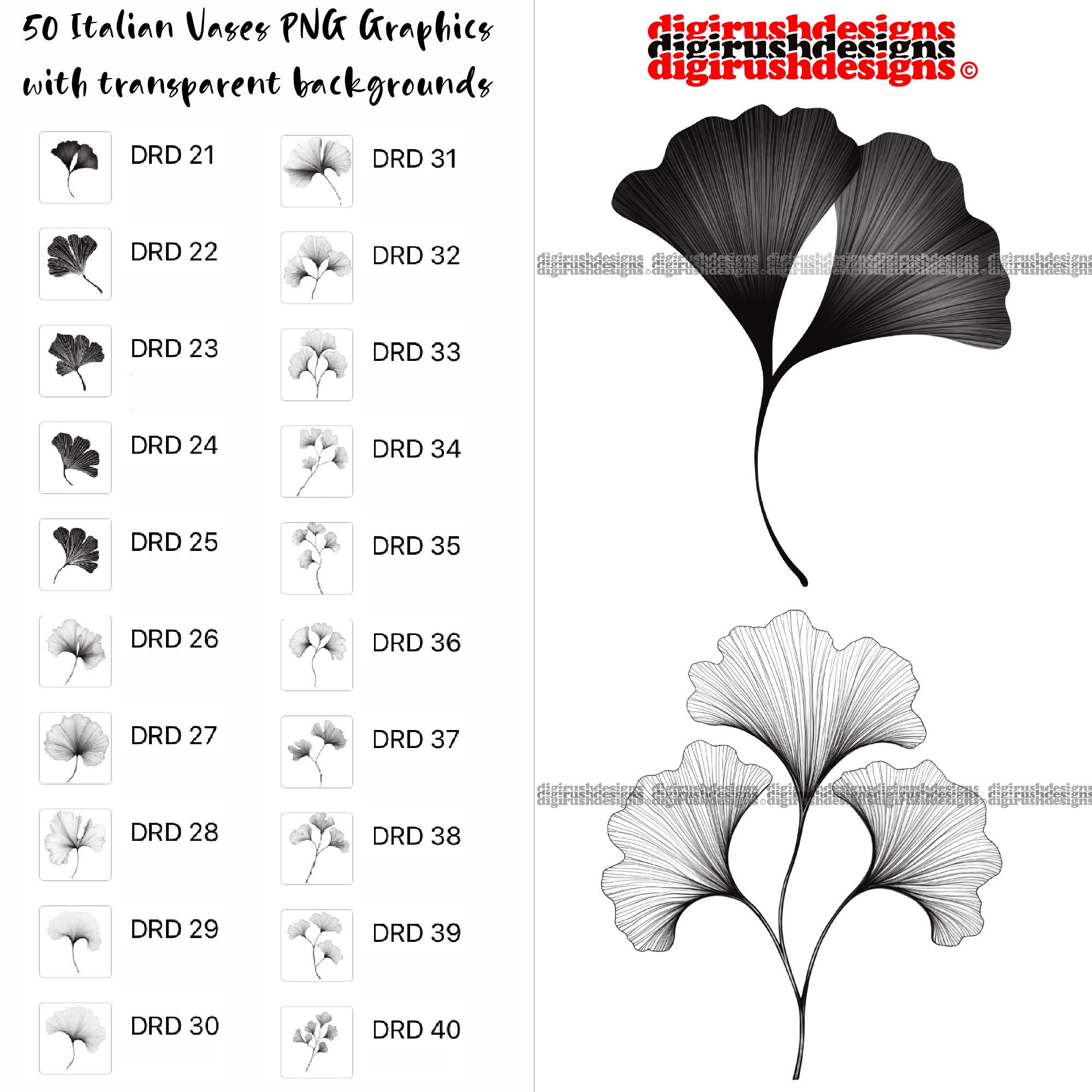 Ginkgo Leaf Clipart PNG Digital Download Ginkgo Line Art Printable ...