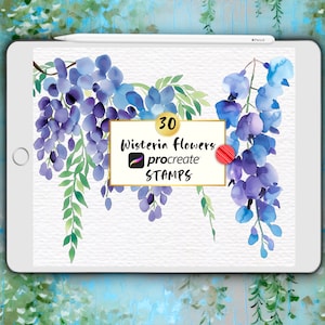 Wisteria Procreate Stamps, Hand Painted Watercolour Wisteria Flowers, Wedding Flower Digital Tattoo Stamps, Botanical Foliage