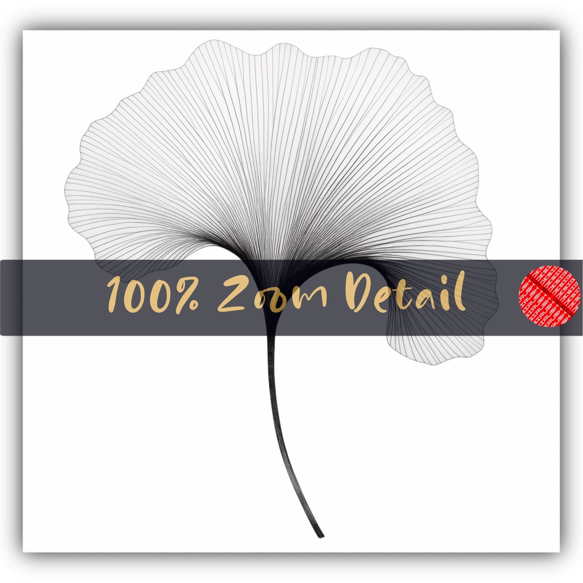 Ginkgo Leaf Clipart PNG Digital Download Ginkgo Line Art Printable ...